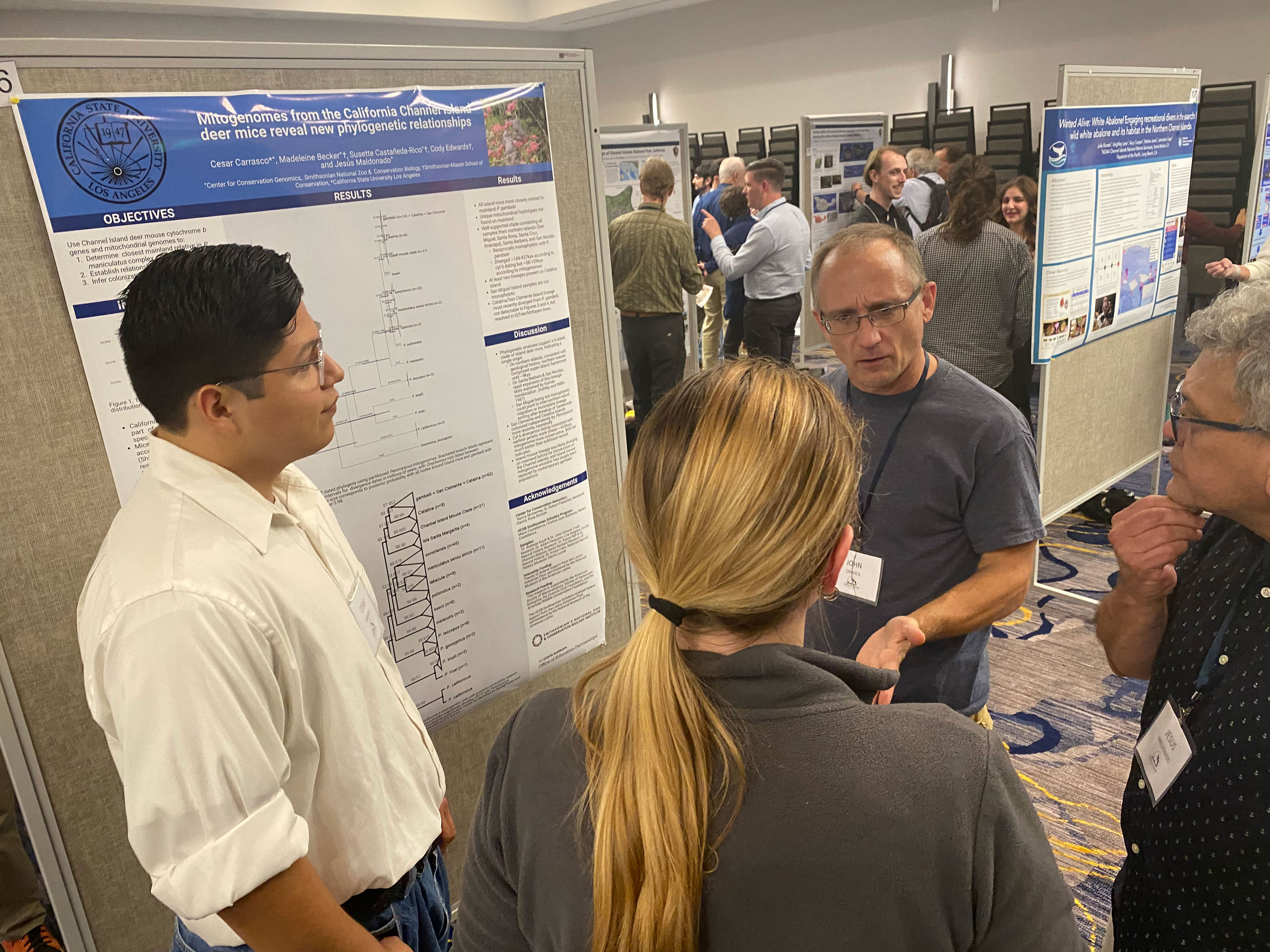 Photo of four people talking in front of a bulletin board