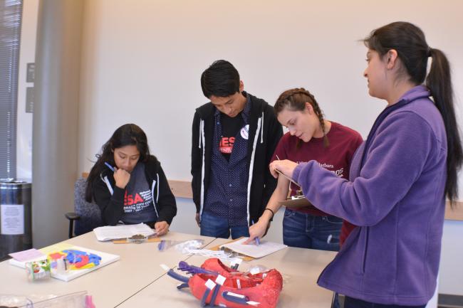 Students discussing anatomy project