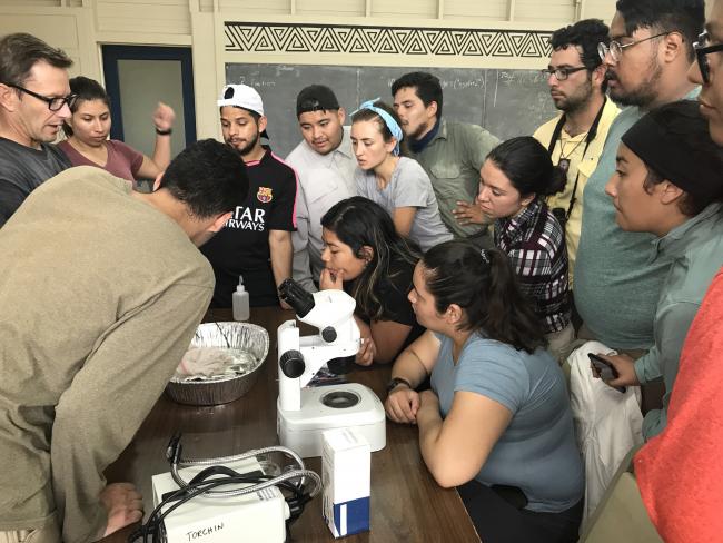 Students watching an experiment be explained