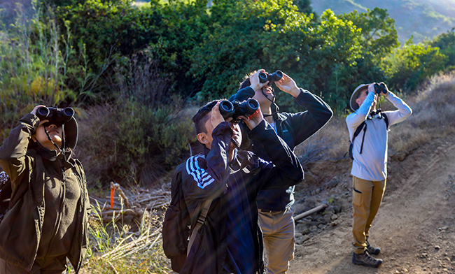 Photo of four people outside looking through binoculars pointed to the sky