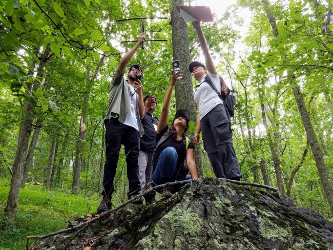 Students taking measurements in the forest